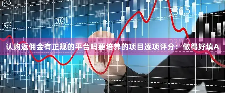 认购返佣金有正规的平台吗要培养的项目逐项评分：做得好填A