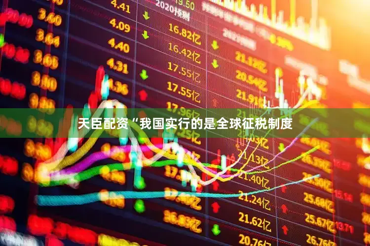 天臣配资“我国实行的是全球征税制度