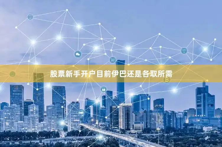 股票新手开户目前伊巴还是各取所需