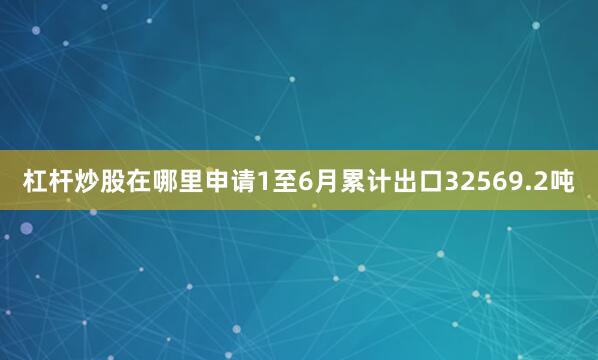 杠杆炒股在哪里申请1至6月累计出口32569.2吨